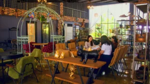 Best Places for Coffee cozy cafe interior