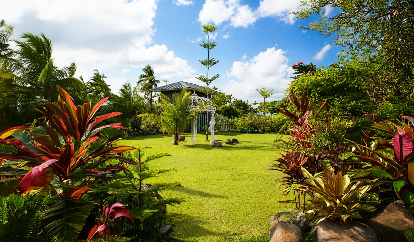 Garden Pic 1