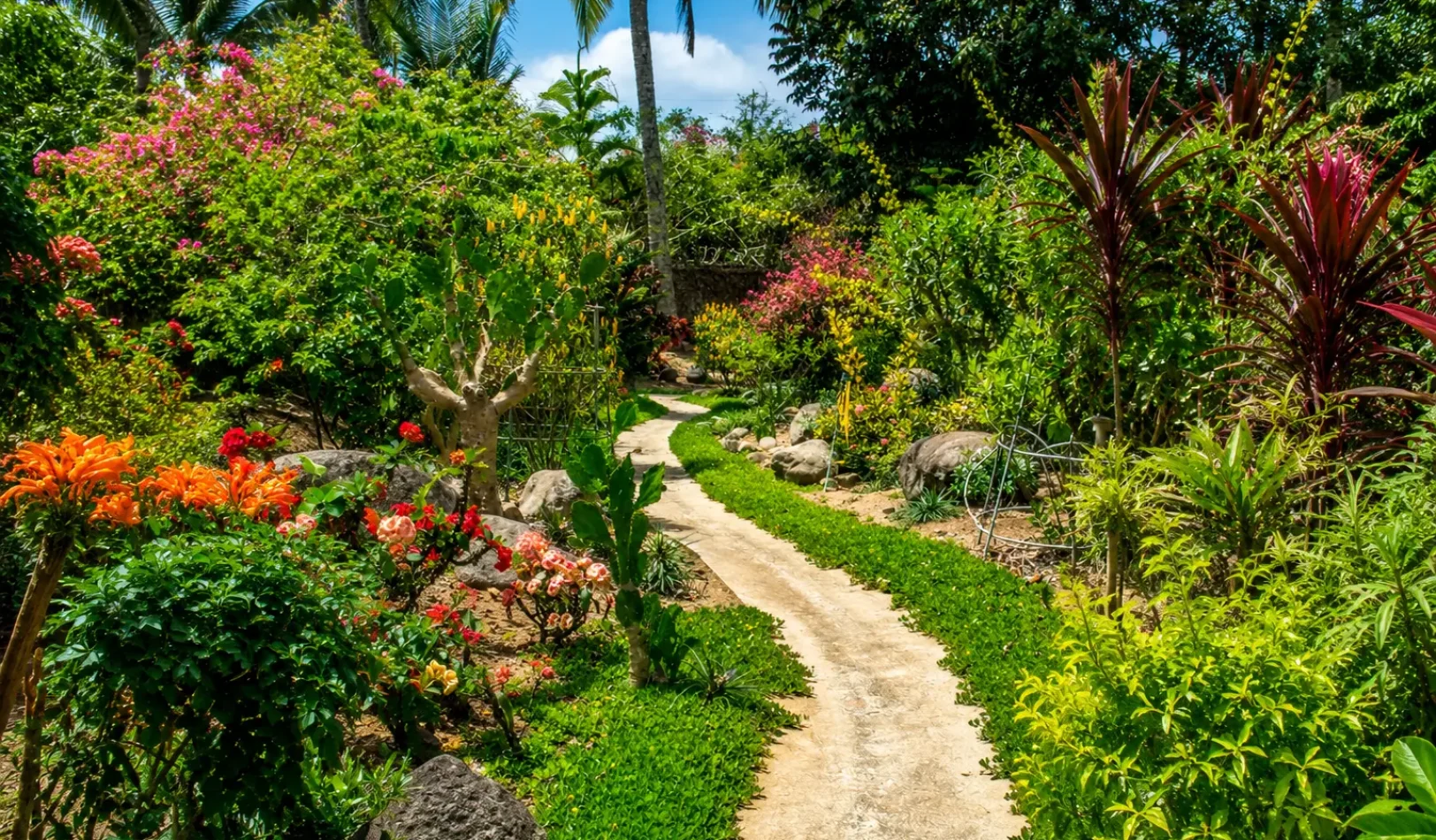 A winding stone pathway cutting through vibrant flower beds and tropical plants in the beautifully landscaped garden area at Wondellea